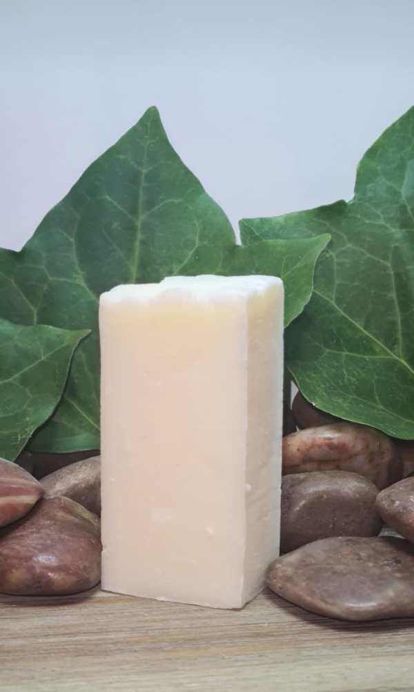 Shampooing solide bio à l'huile de ricin