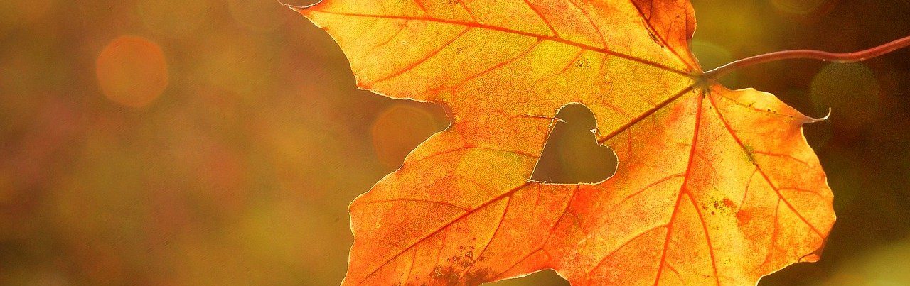 Produits éco-responsables